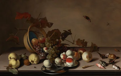 Früchtestillleben mit Weidenkorb, Muscheln und Schmetterling, erste Hälfte des 17. Jahrhunderts