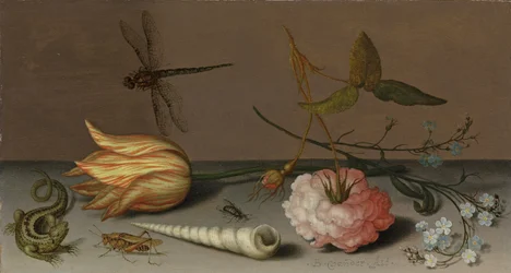 Eine Tulpe, eine Nelke, ein Strauß Vergissmeinnicht, mit einer Muschel, einer Eidechse und einer Heuschrecke auf einem Sims, eine Libelle im Flug