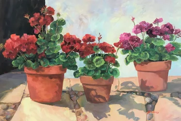 Geranien-Serie 1, ca. 1990-2005