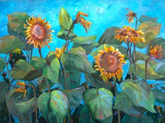 Sonnenblumen 2