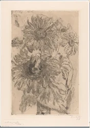 Drei Sonnenblumen in einer Vase