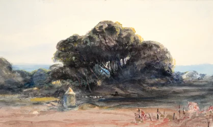 Landschaft: Kiefer und kleiner Turm