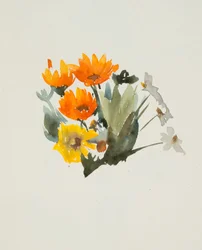 Orange Blumen