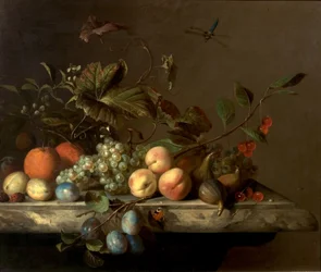 Fruchtstück mit Libelle