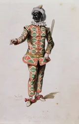 Harlekin, aus 