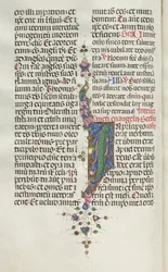 Missale: Fol. 22v: Laubwerk mit Fisch, 1469