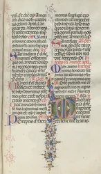 Missale: Fol. 260: Laubwerk mit Früchten