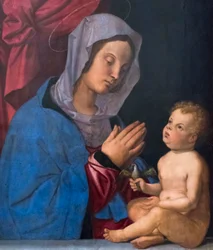 Madonna mit Kind, um 1503