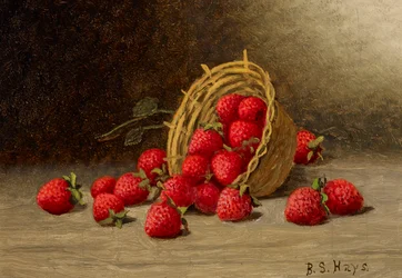 Erdbeeren