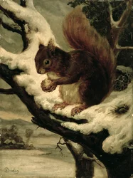 Ein rotes Eichhörnchen, das eine Nuss isst