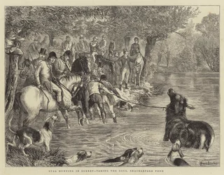 Hirschjagd in Surrey, das Einfangen des Hirsches, Shackleford Pond