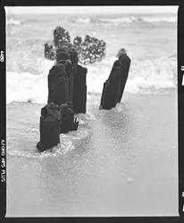 Verwitterte Strandpfosten