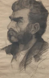 Bauer