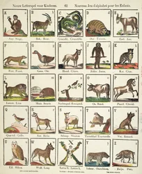 Französisch-flämisches Alphabet (farbiger Holzschnitt)