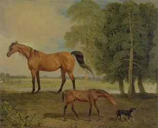 Zuchtstute mit Fohlen und Terrier
