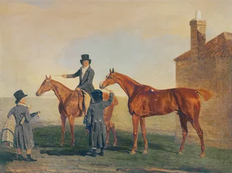 Goldammer, ca. 1800