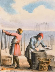 Dorsch Trocknung, ca. 1845