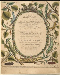Frontispiz, aus A Rare Depiction of Butterflies and Moths, veröffentlicht 1764