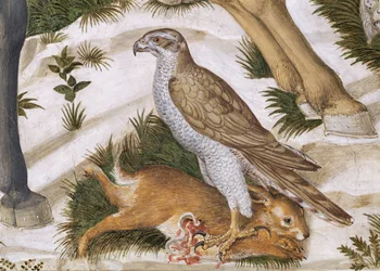 Falke mit gefangenem Kaninchen, Detail aus dem Zyklus der Reise der Heiligen Drei Könige in der Kapelle, ca. 1460 (Detail)