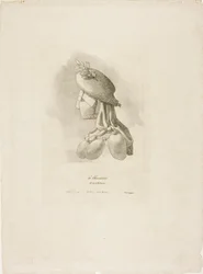 Die Metzgerin, aus Arts et Métiers