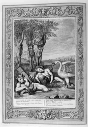Cygnus verwandelt sich in einen Schwan und Phaetons Schwestern in Pappeln, 1733