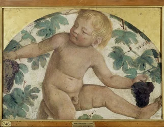 Erntende Putti - Putto unter einer Pergola, ca. 1514 (abgelöster Fresko auf Holz)