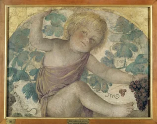 Erntende Putti - Putto unter einer Pergola