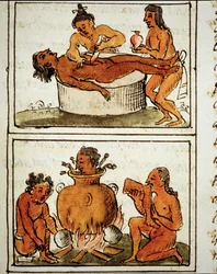 Menschenopfer und Kannibalismus der Azteken. Manuskript von Bernardino Sahagún
