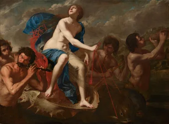 Der Triumph der Galatea