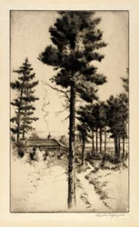 Hütte in der Wildnis