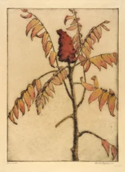 Essigbaum