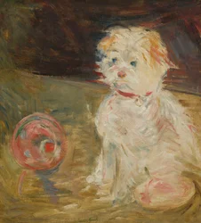 Hund mit Ballon