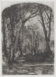 Wald [Bosco], ca. 1895