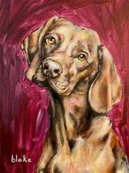 Hunde regieren