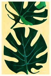 Tropische Monstera-Blätter