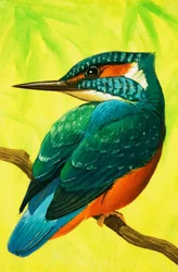 Eisvogel