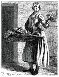 Meine schönen Nelken!, 1737-1742