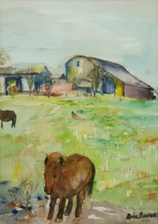 Pony auf der Wiese, East Green
