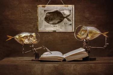 Neugierige Fischgelehrte