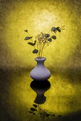Goldene Blumenreflexion