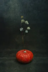 Stimmungsvoller Kürbis-Eukalyptus