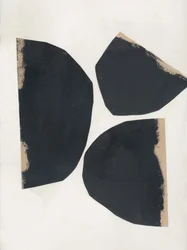 Organische Schwarze Formen