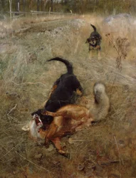 Hunde und Fuchs