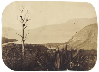 See und Mount Tarawera von Te Wairoa, 1860