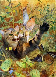 Eine Katze und ein Buchfink