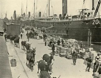 Truppentransportschiffe in Port Tampa, Florida, USA, Spanisch-Amerikanischer Krieg, 10. Juni 1898, 1899