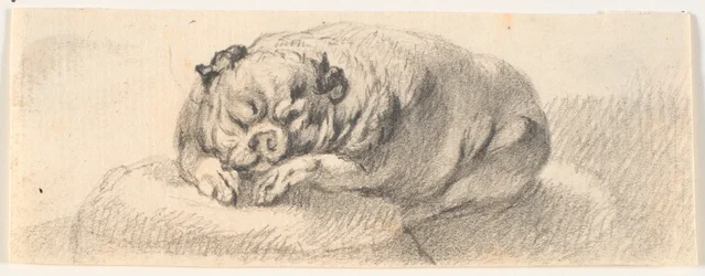 Ein Mops
