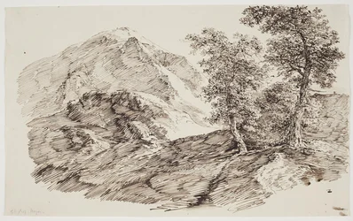 Berglandschaft mit Bäumen