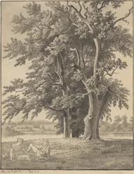 Die Insel bei Valsølille