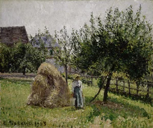 Apfelbäume in Eragny, sonniger Morgen, 1903